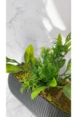 DDPEST Yosunlu Uzun Saksıda Yapay Limon Yaprağı Bitkisi Yeşil Çim Garnitürlü Gri Saksı Uzun - 2