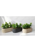 DDPEST 3 ' lü Dekoratif Yosunlu Yapay Çimli Saksı Takımı Canlı / Yapay Çiçek Saksıları - 1