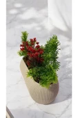 DDPEST Yosunlu Saksıda Yapay Kırmızı Küstüm Çiçeği Bitkisi çim Garnitürlü bej Saksı uzun - 2