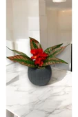 DDPEST Yosunlu Saksıda Yapay ATATÜRK Çiçeği Bitkisi Kırmızı Yeşil Garnitürlü Gri Saksı Orta  Boy thumbnail 1
