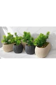 DDPEST 5 ' li Dekoratif Yosunlu Yapay Çimli Saksı Takımı Canlı / Yapay Çiçek Saksıları - 3