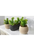 DDPEST 3 ' lü Dekoratif Yosunlu Yapay Çimli Saksı Takımı Canlı / Yapay Çiçek Saksıları - 2