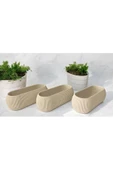 DDPEST 3 Adet Uzun Bej Renk Mercan Çizgili Saksı Canlı/Yapay Çiçek Saksılığı Balkon Saksısı - 1