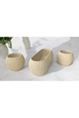 DDPEST 2 Adet -Mini Boy Bej 1 Adet Uzun Bej Mercan Çizgili Saksı Canlı/Yapay Çiçek Saksılığı Balkon Saksısı - 2
