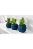 DDPEST 3 ' lü Dekoratif Yosunlu Yapay Çimli Saksı Takımı Canlı / Yapay Çiçek Saksıları - 2