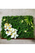 DDPEST Yapay Islak Doku Beyaz Orkideli 40x60 Yeşil Sık Doku Panel Şimşir k - 1