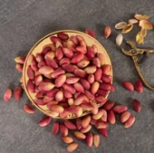 Antep Fıstığı Ben ( Taze ) 1 KG - 1
