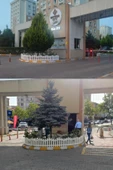 Dekoratif Plastik Bahçe ve Peyzaj Çiti 1 ADET ÇİT (Y: 50 CM / G: 55 CM) TOPRAK AYAKLI - 8