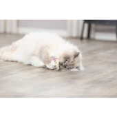 Trixie Kedi Oyuncağı, Kumaş Ayı, Kediotlu 12cm - 2