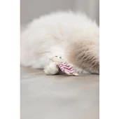 Trixie Kedi Oyuncağı, Kumaş Ayı, Kediotlu 12cm - 3