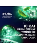 Clear Men Kepeğe Karşı Etkili Şampuan Günlük Arınma ve Ferahlık 350 ML - 6