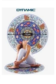 Dynamic Yoga Matı - 2