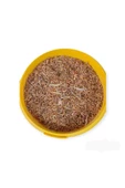 Gammarus (Kurutulmuş Karides ve Balık) Kaplumbağa Yemi 3000ml 470gr (Kapalı Kova) - 2