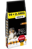 Medium Adult Tavuklu Yetişkin Köpek Maması 16,5 kg - 1