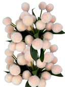 Nettenevime Yapay Çiçek Şampanya Rengi Pompon Çiçeği Dekoratif Yapay Çiçek 7 Toplu 30*20cm thumbnail 3