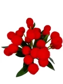 Nettenevime Yapay Çiçek Kırmızı Pompon Çiçeği Dekoratif Yapay Çiçek 30*20cm thumbnail 5