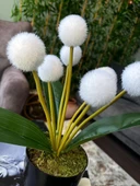 Nettenevime Yapay Çiçek Beyaz Pompon Çiçeği Dekoratif Yapay Çiçek 30*20cm thumbnail 6