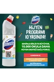Domestos Kar Beyazı 806 GR - 2
