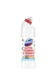 Domestos Kar Beyazı 806 GR - 3