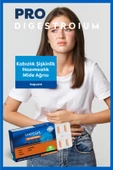 VİAPECİA Vıapecıa Pro-dıgestroium Rezene Karahindiba 30 Tablet - 3