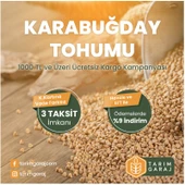 Karabuğday Tohumu 5 Kg - 2