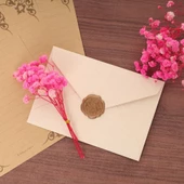 Nettenevime 10lu Set Kuru Çiçek Doğal PEMBE KOYU Cipso Şoklanmış Bozulmaz thumbnail 7