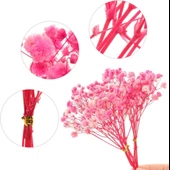 Nettenevime 10lu Set Kuru Çiçek Doğal PEMBE KOYU Cipso Şoklanmış Bozulmaz thumbnail 4