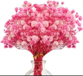 Nettenevime 10lu Set Kuru Çiçek Doğal PEMBE KOYU Cipso Şoklanmış Bozulmaz thumbnail 2