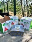 Premium Hindistan Cevizli Nagile Kömürü Uzun Süre Yanan Pratik Kömür 26mm 1kg - 5