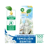 Air Wick Air Wick Elektrikli Oda Kokusu Yedek Şişe Temizliğin Esintisi - 1