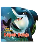 Ben Kimim? Su Hayvanları Kitap Seti Parıltı Yayınları thumbnail 4