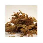 Kurt Pençesi 35 Gr, Lokman Aktar - 1