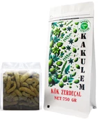 KAKUELM SERTİFİKALI Kök Zerdeçal 750 GR - 1