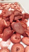 SagaFresh Dondurularak Kurutulmuş Çilek Dilimleri 1000g - 3