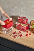 Selka Lavin 7 Lt. Saklama Kabı Bordo - 5