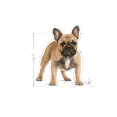 Royal Canin French Bulldog Yavru Köpek Maması 3 KG - 3