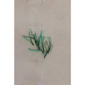 WANDERSOUL İstavrit Çaparisi 10 İğneli Poşet Çapari 0.15mm Beden x 0.25mm Köstek - 4