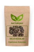 Naturşah Selvi Servi Kozalağı (Cupressus Arizonica) 250 Gr - 1