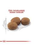 Royal Canin Sterilised 37 Kısırlaştırılmış Yetişkin Kedi Maması 2 KG - 3