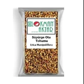 Süpürge Otu 70 Gr (Paket-Bitki) 1Adet - 1