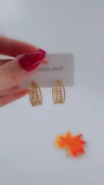 Kadın Yaprak Tasarım Çelik Küpe Gold Renk - 1