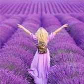 Rebul Lavanda 100 ml Sprey Kolonya - 2