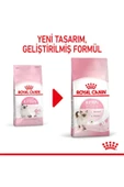Royal Canin Kitten 36 Yavru Kedi Maması 2 KG - 2