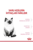 Royal Canin Kitten 36 Yavru Kedi Maması 2 KG - 5
