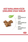 Royal Canin Kitten 36 Yavru Kedi Maması 2 KG - 7