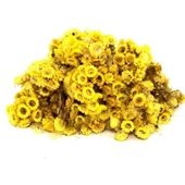 Altın Otu 25 Gr (Altınotu) Solidago virgaurea 25 Gr, Derya Eren - 2