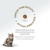 Felicia Az Tahıllı 12 Kg Yavru Kuzu Etli HypoAllergenic Kedi Maması thumbnail 11