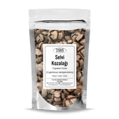 Selvi Kozalağı 50 gr (1. Kalite) Cupressus sempervirens - 1