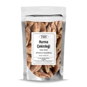 Hurma Çekirdeği 50 gr (1. Kalite) Phoenix factylifera - 1