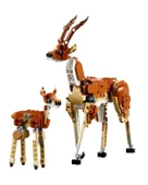 Lego Creator Vahşi Safari Hayvanları 31150 - 3